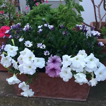 Bed & Breakfast Casetta Anacaprese