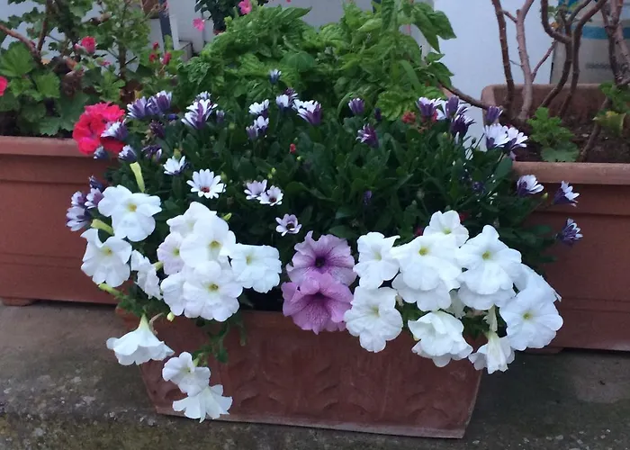 לינה וארוחת בוקר Casetta Anacaprese